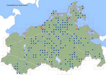 Verbreitung Fransenfledermaus in M-V