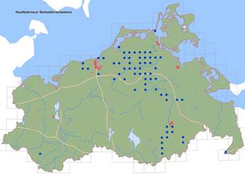 Verbreitung Mopsfledermaus in M-V