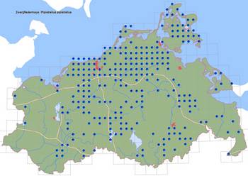 Verbreitung Zwergfledermaus in M-V